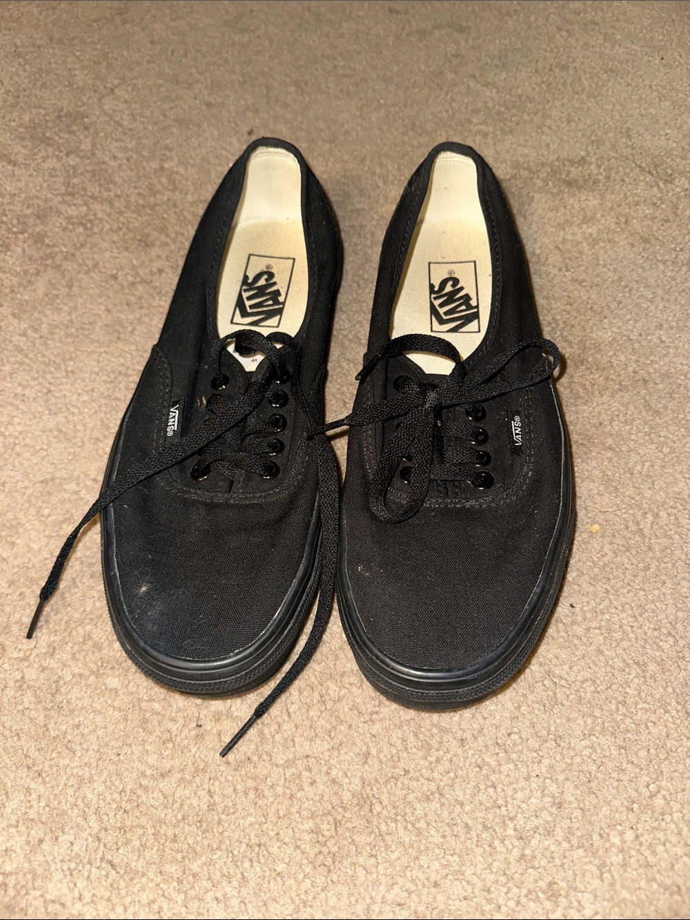 Vans Black Canvas Low-Top Lace-Up Sneakers